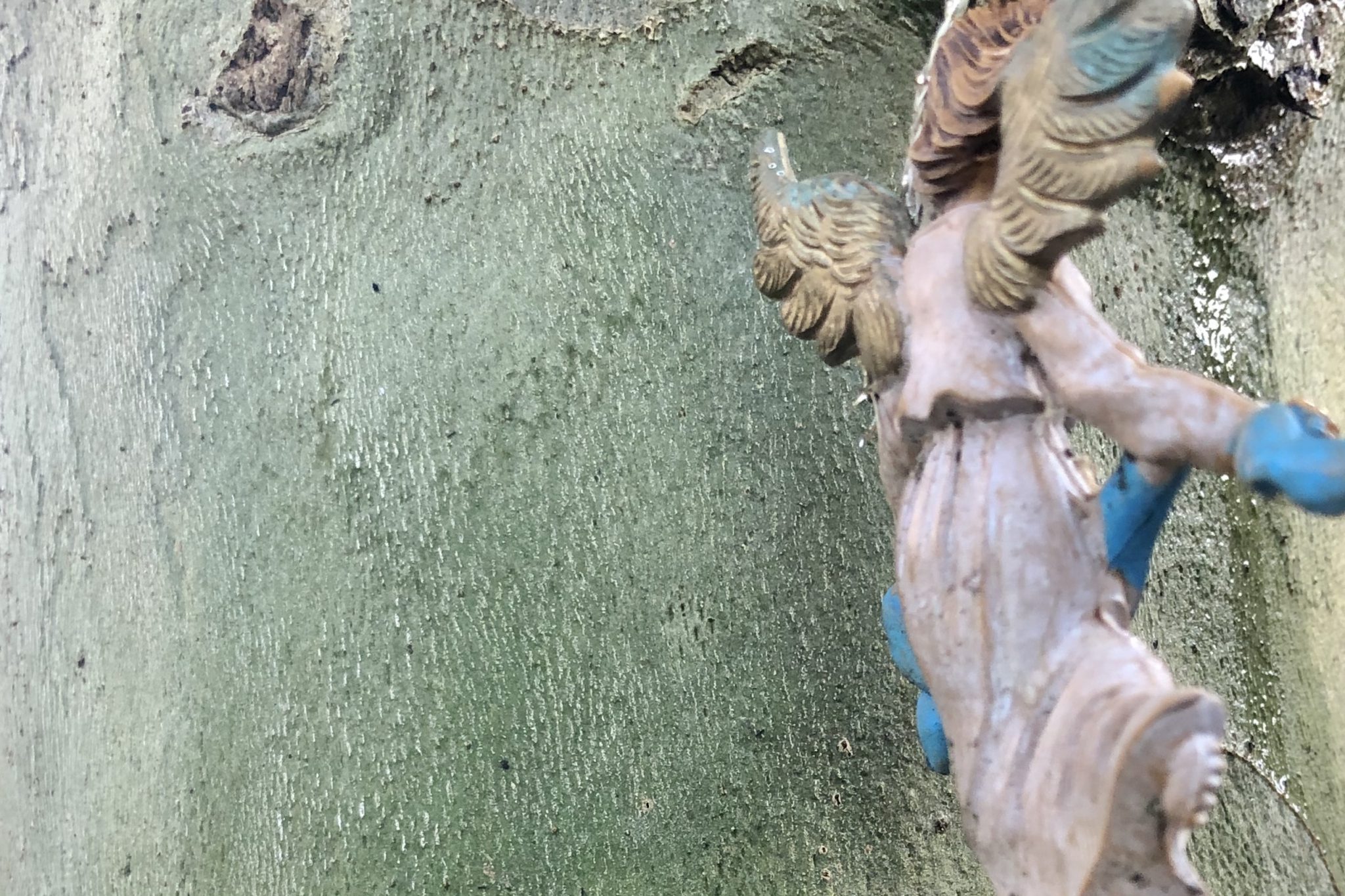 Roeping Marianne Broos